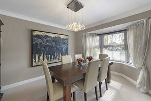 Photo 13- click for photo gallery